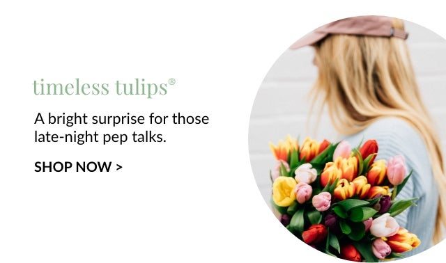 TIMELESS TULIPS