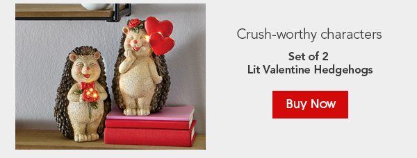 Crush-worthy characters Set of 2 Lit Valentine Hedgehogs Buy Now