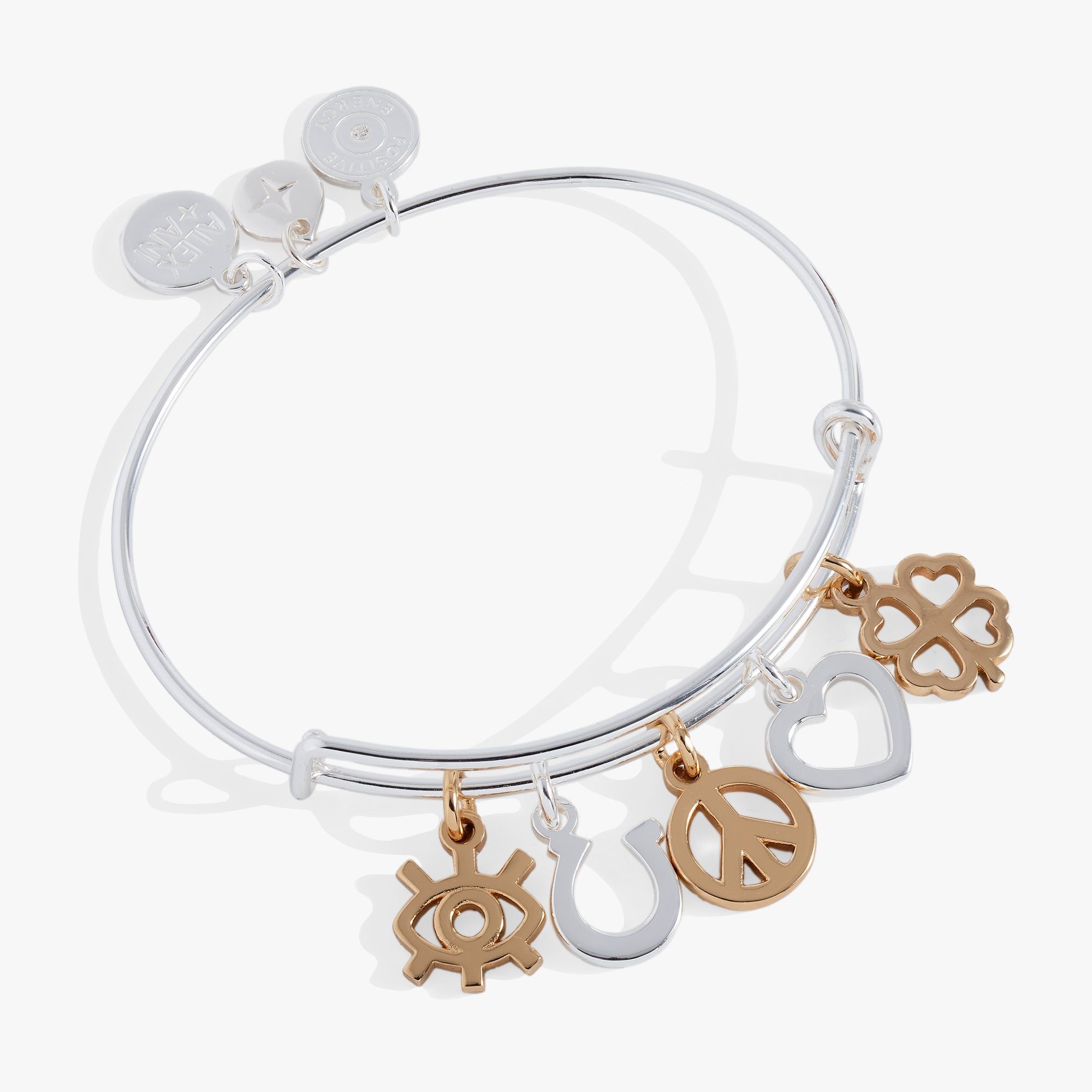 Image of Mixed Symbol Multi-Charm Bangle