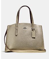 PLATINUM/GUNMETAL CHARLIE CARRYALL