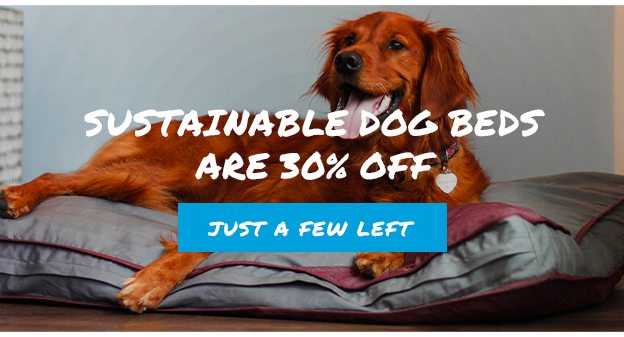 Sustainable dog beds are 30% off