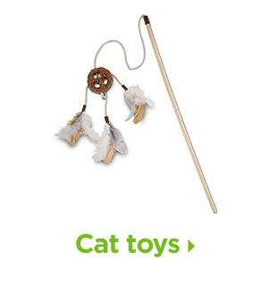 Cat toys.