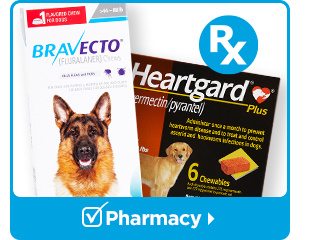 Pharmacy.