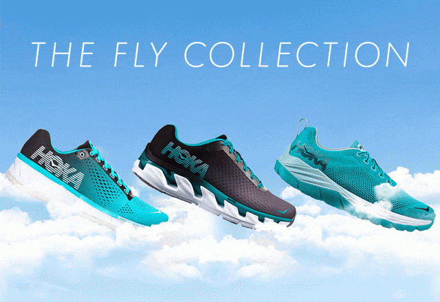 The Fly Collection