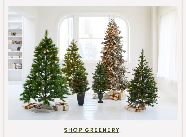 Shop Greenery