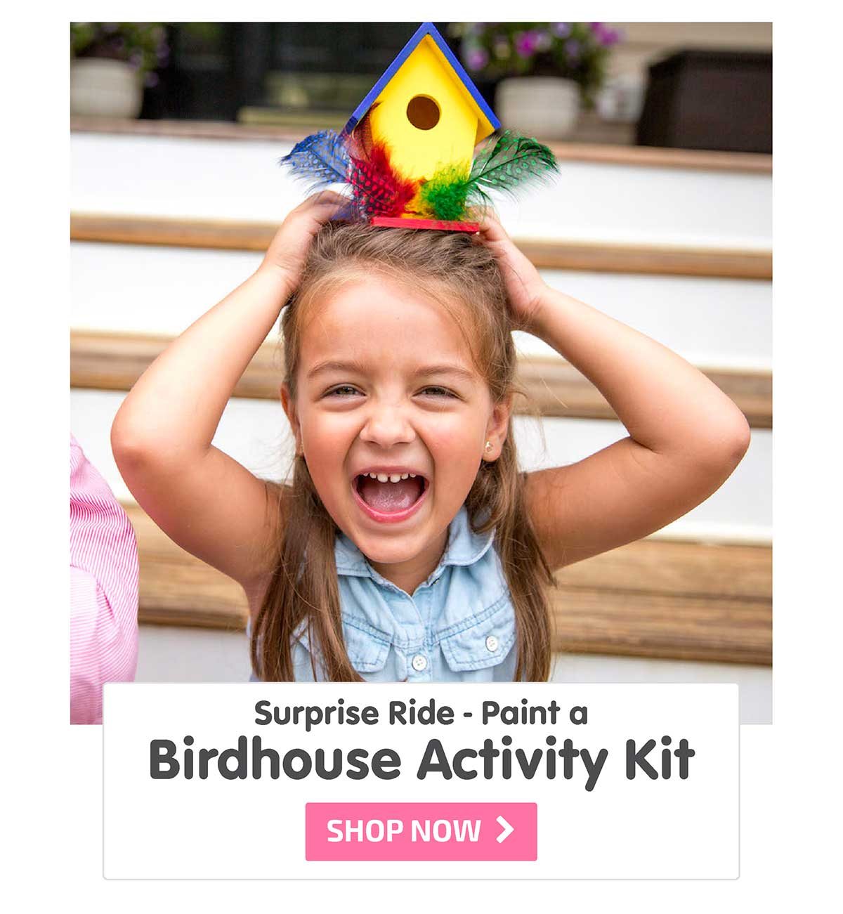 Surprise Ride - Paint a Birdhouse Activity Kit