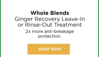 Whole Blends Ginger Recovery Leave-In or Rinse-Out Treatment - 2x more anti-breakage protection. - SHOP NOW