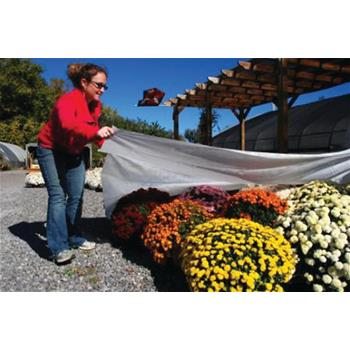 Overwintering Fabric keeps plants 4º to 10ºF warmer