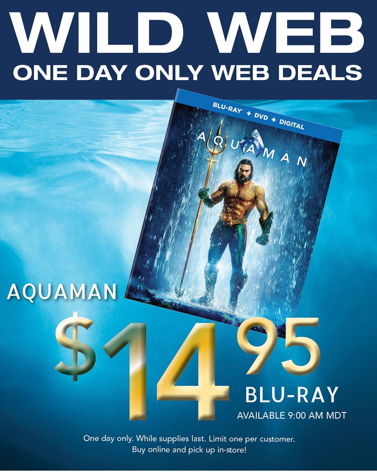 Aquaman Blu-ray $14.95 + Wild Web One Day Only Savings! - RC Willey ...