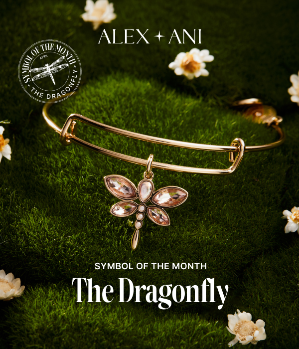 Symbol of the Month | Shop Dragonfly