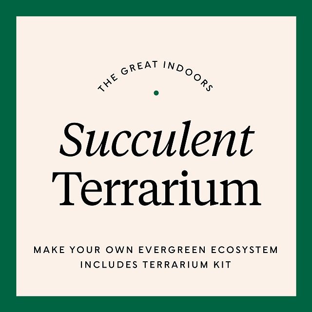 The Great Indoors: DIY Succulent Terrarium