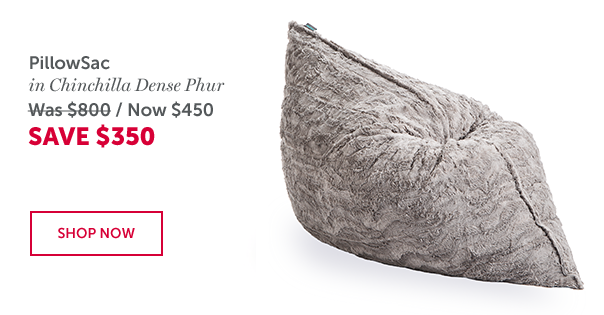 PillowSac | SAVE $350 | SHOP NOW