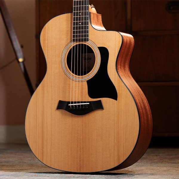 Taylor model 114ce