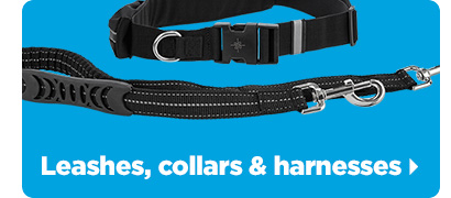 Leashes, collars & harnesses > 