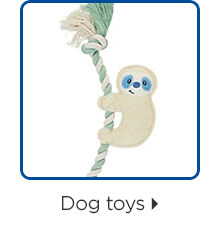 Dog toys.