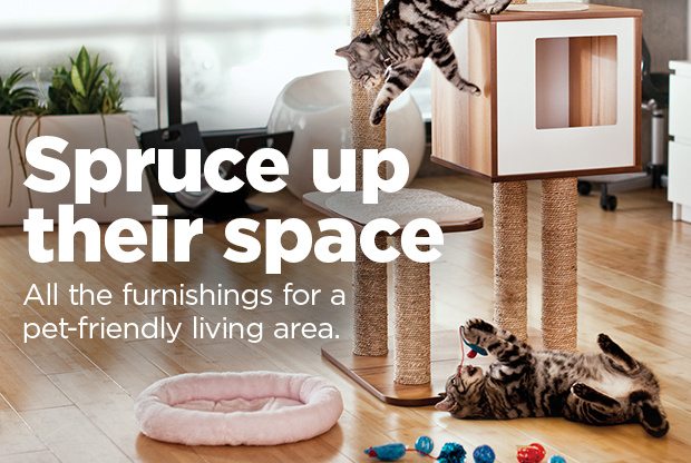 Spruce up their space. All the furnishings for a pet-friendly living area.