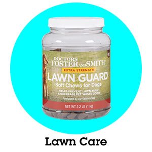 Lawn Guard