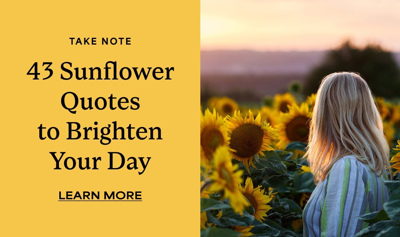 43 SUNFLOWER QUOTES