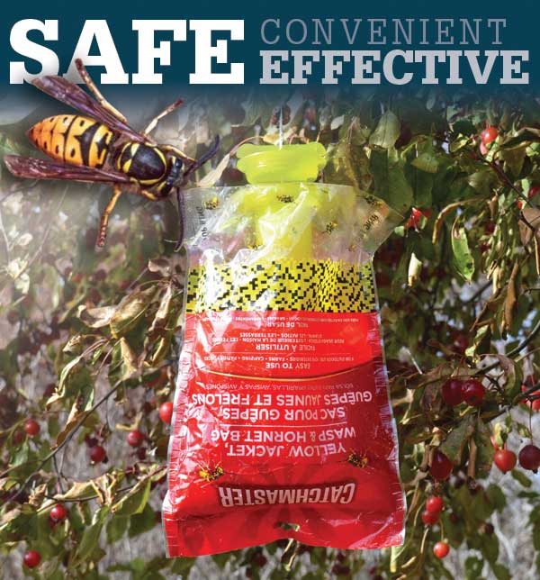 NEW Wasp & Yellow Jacket Bag Trap
