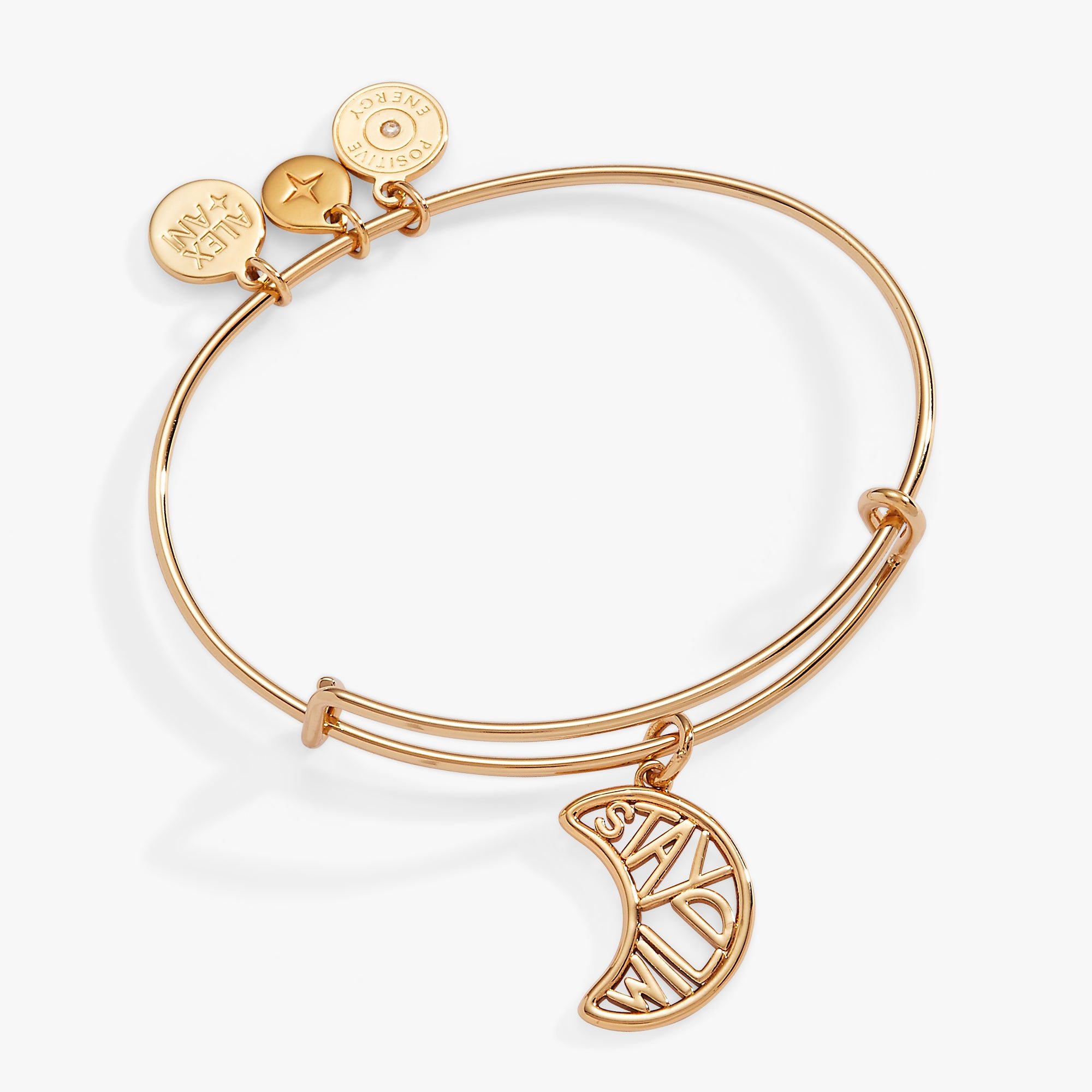 Image of Stay Wild Charm Bangle