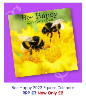 Bee Happy 2022 Square Calendar