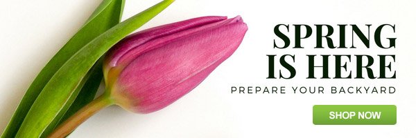 Spring Is Here: Prepare For The Season