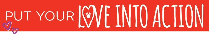 Put your love into action