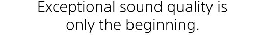 Exceptional sound quality is only the beginning.