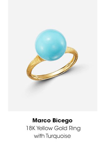 MARCO BICEGO