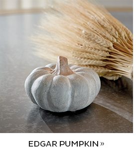 Edgar Pumpkin