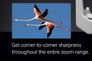 Get corner-to-corner sharpness throughout the entire zoom range.