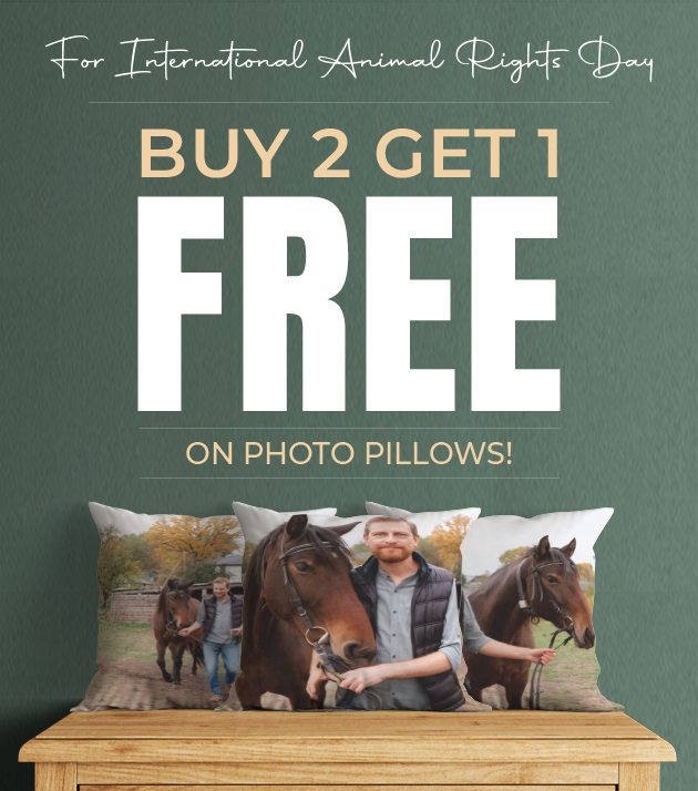 For International Animal Rights Day, Buy 2 Get 1 Free on Photo Pillows!