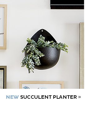 Succulent Planter