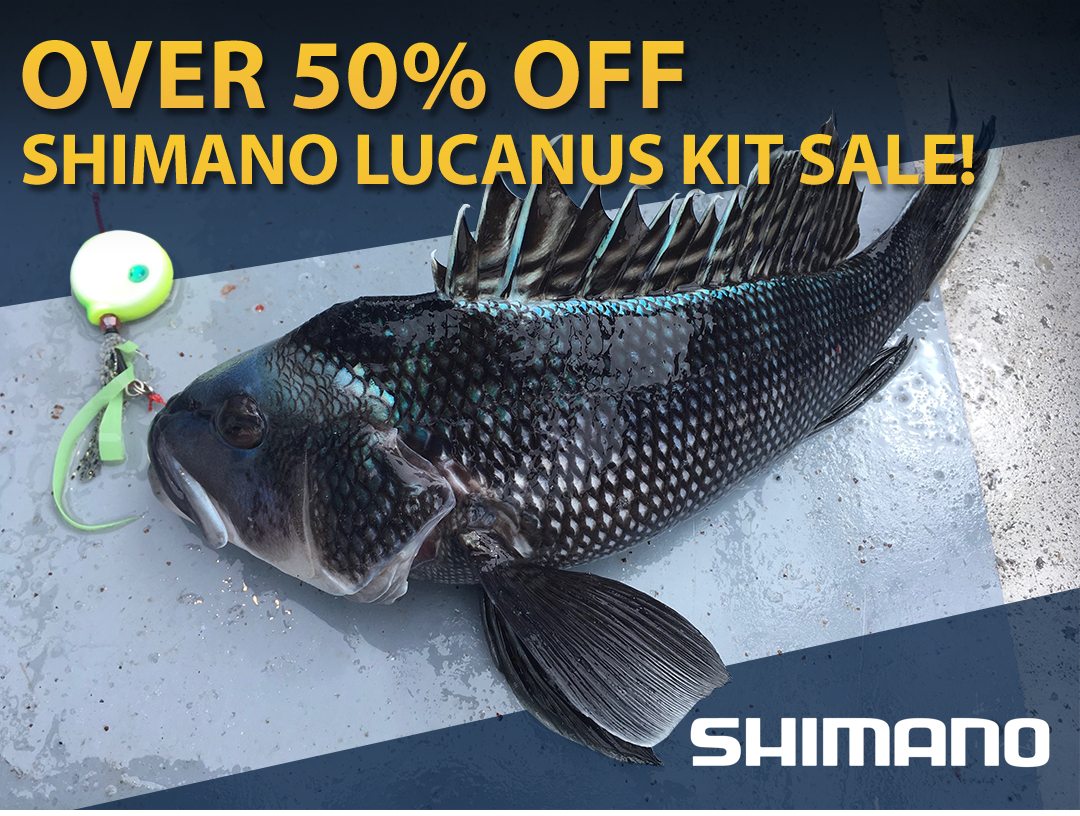 Shimano Lucanus Flat Jig Kit Sale