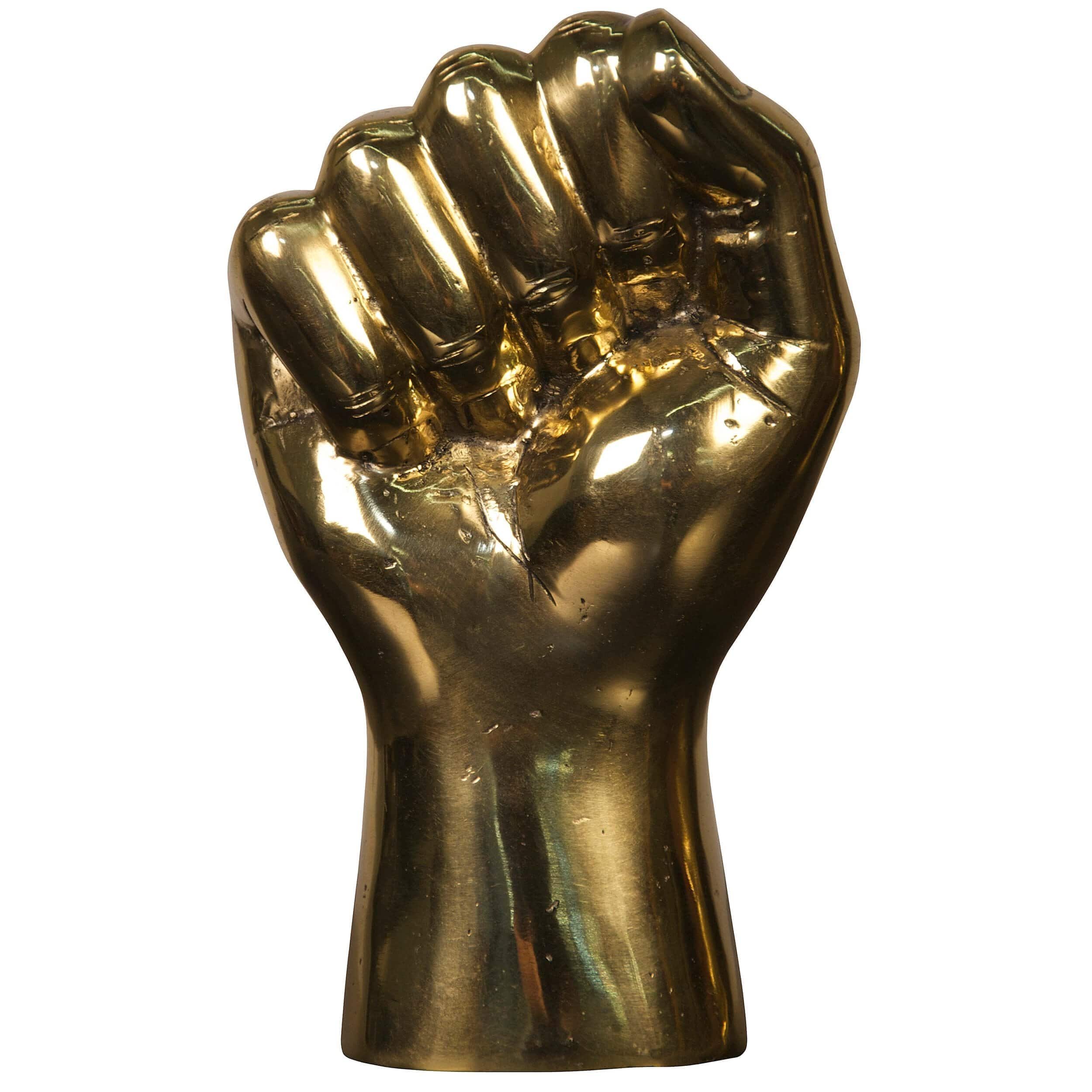 Image of The Solidarity Fist, Brass