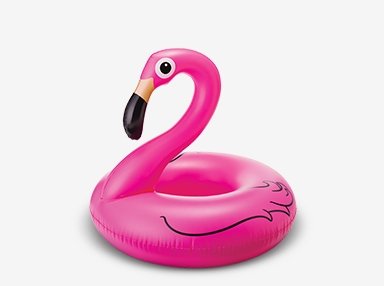 Pool toys & swim deals