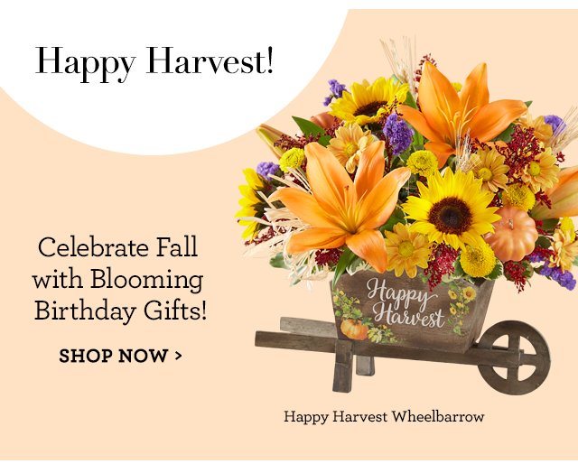 Happy Harvest Wheelbarrow