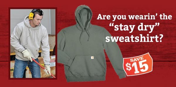 Carhartt® Rain Defender® Paxton® Hoodie