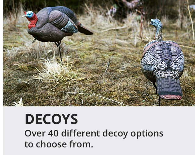 Turkey Decoys