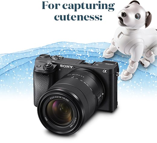 For capturing cuteness: Alpha 6300 camera w/lens