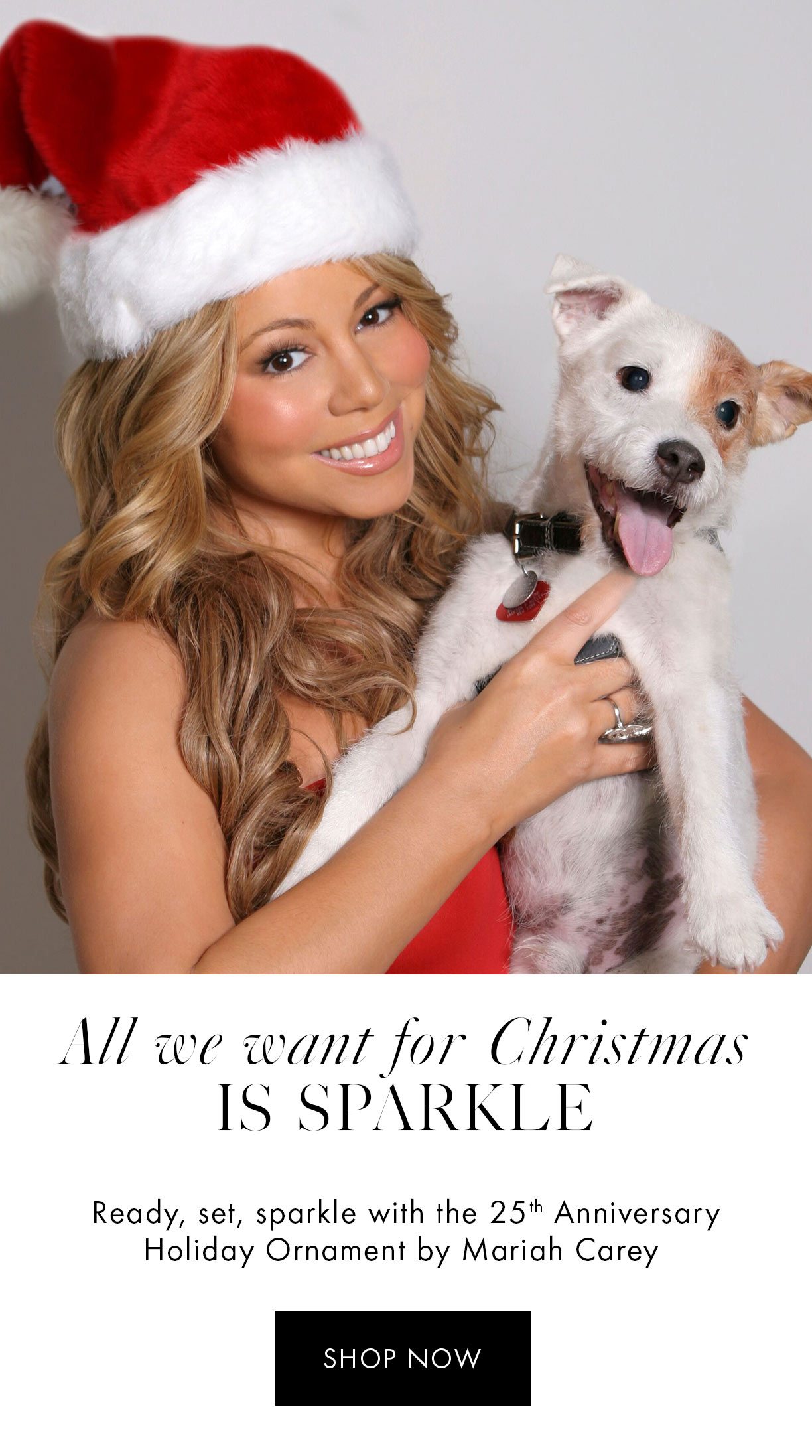 All we want for Christmas is sparkle