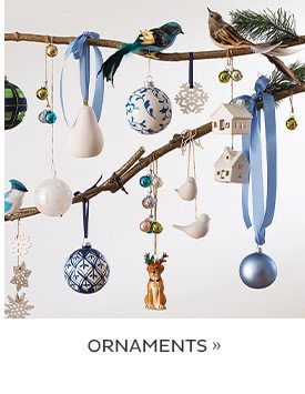 Ornaments