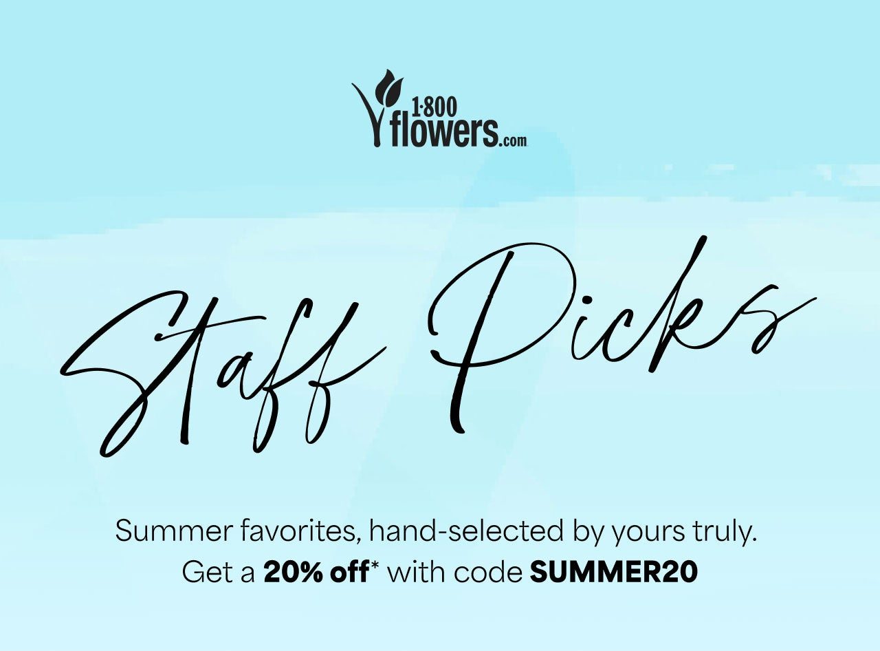 STAFF PICKS GET 20% OFF* WITH CODE SUMMER20