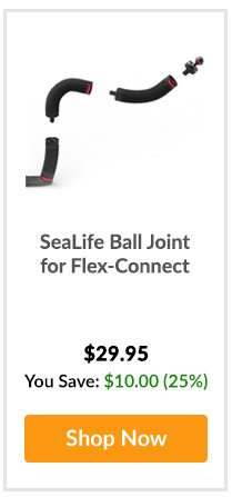 SeaLife Ball Joint for Flex-Connect - Shop Now