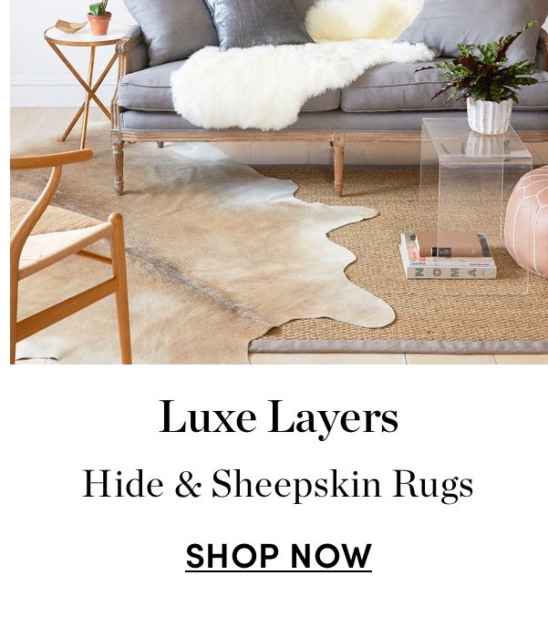 Hide & Sheepskin Rugs