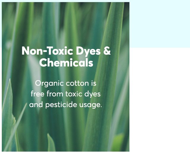 Non-Toxic Dyes and Chemicals: Organic cotton is free from toxic dyes and pesticide usage. Learn more.