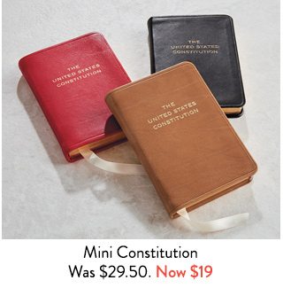 Mini Constitution