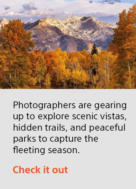 Photographers are gearing up to explore scenic vistas, hidden trails, and peaceful parks to capture the fleeting season. | Check it out