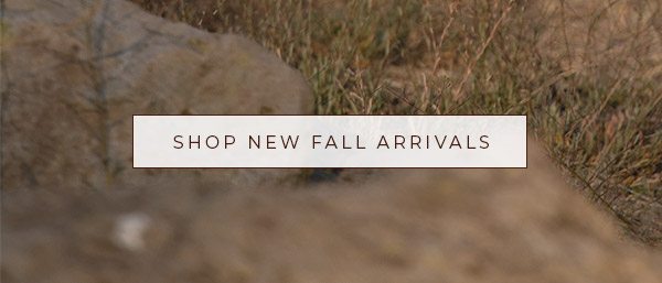 Shop New Fall Arrivals »