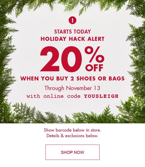 Starts Today Holiday Hack Alert 20% Off